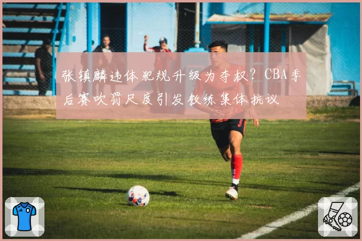 张镇麟违体犯规升级为夺权？CBA季后赛吹罚尺度引发教练集体抗议
