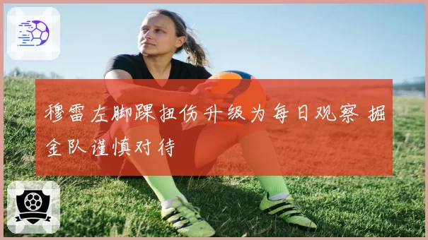 穆雷左脚踝扭伤升级为每日观察 掘金队谨慎对待