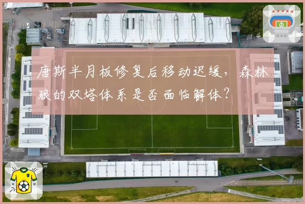 唐斯半月板修复后移动迟缓，森林狼的双塔体系是否面临解体？