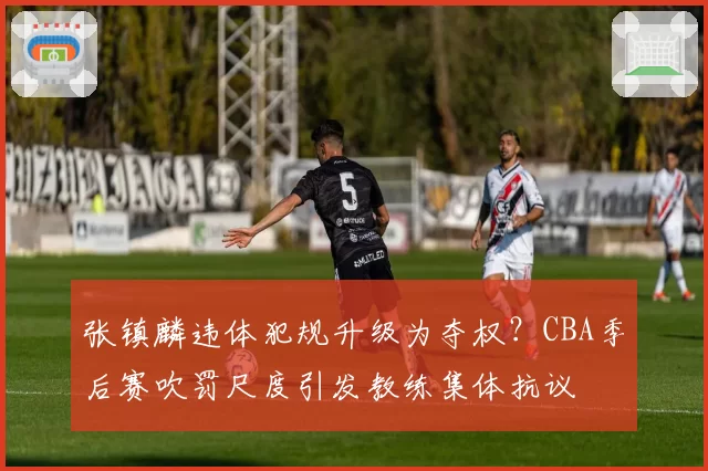 张镇麟违体犯规升级为夺权?CBA季后赛吹罚尺度引发教练集体抗议