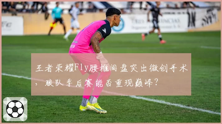 王者荣耀Fly腰椎间盘突出微创手术，狼队季后赛能否重现巅峰？