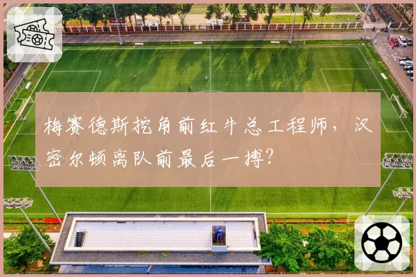 梅赛德斯挖角前红牛总工程师,汉密尔顿离队前最后一搏?