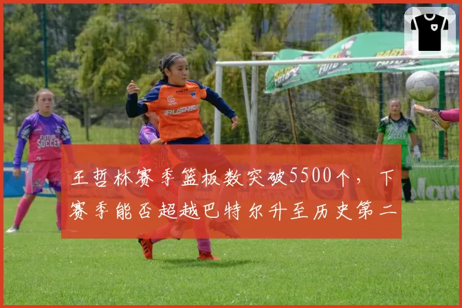 王哲林赛季篮板数突破5500个，下赛季能否超越巴特尔升至历史第二？