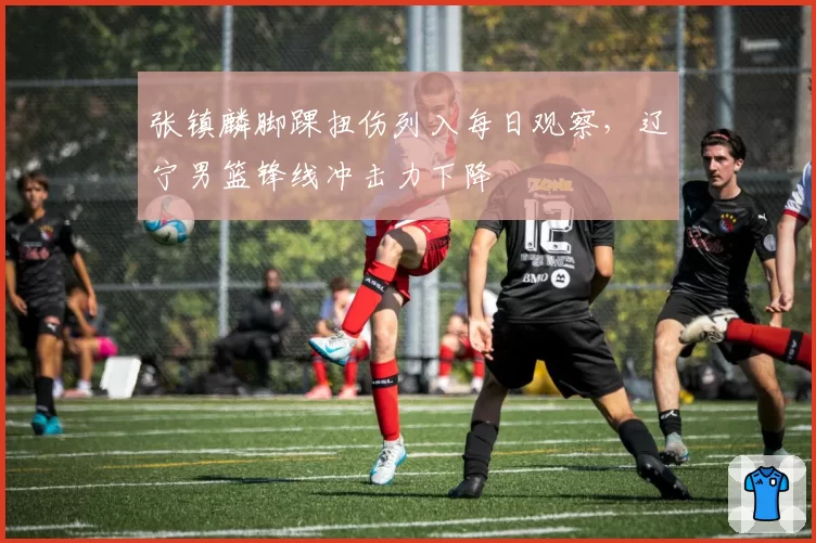 张镇麟脚踝扭伤列入每日观察，辽宁男篮锋线冲击力下降