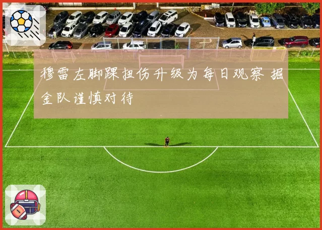 穆雷左脚踝扭伤升级为每日观察 掘金队谨慎对待
