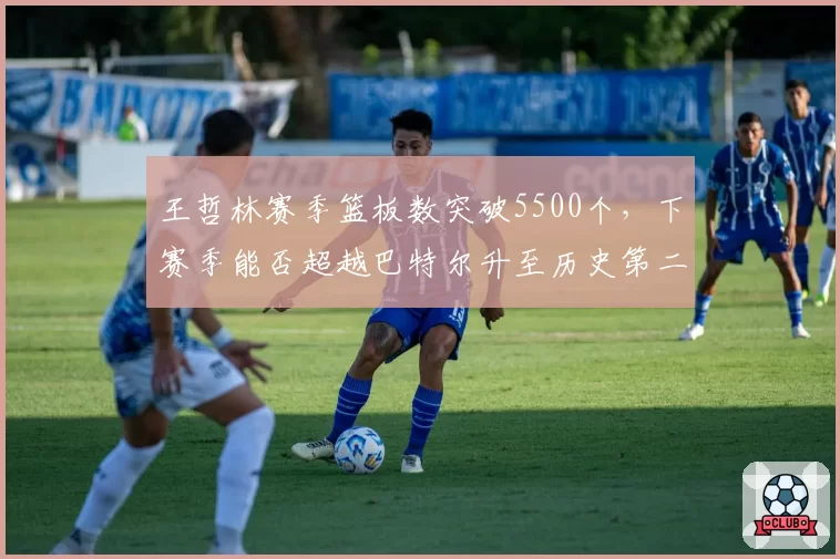 王哲林赛季篮板数突破5500个，下赛季能否超越巴特尔升至历史第二？